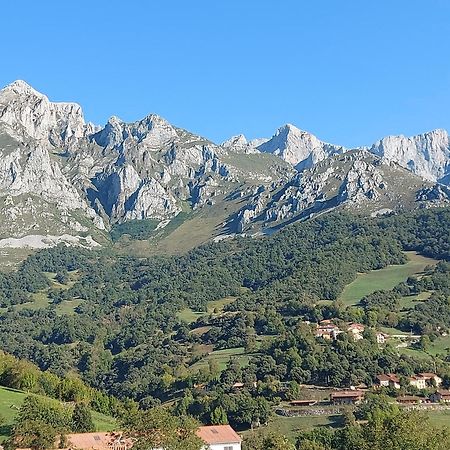 Apartamentos Rurales Los Picos De Redo カマレニョ エクステリア 写真