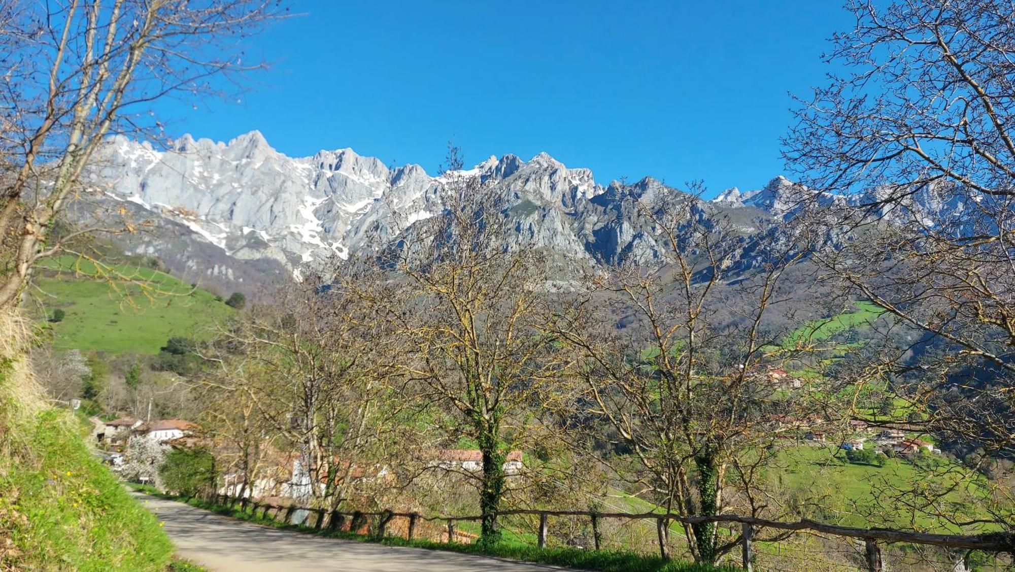 Apartamentos Rurales Los Picos De Redo カマレニョ エクステリア 写真