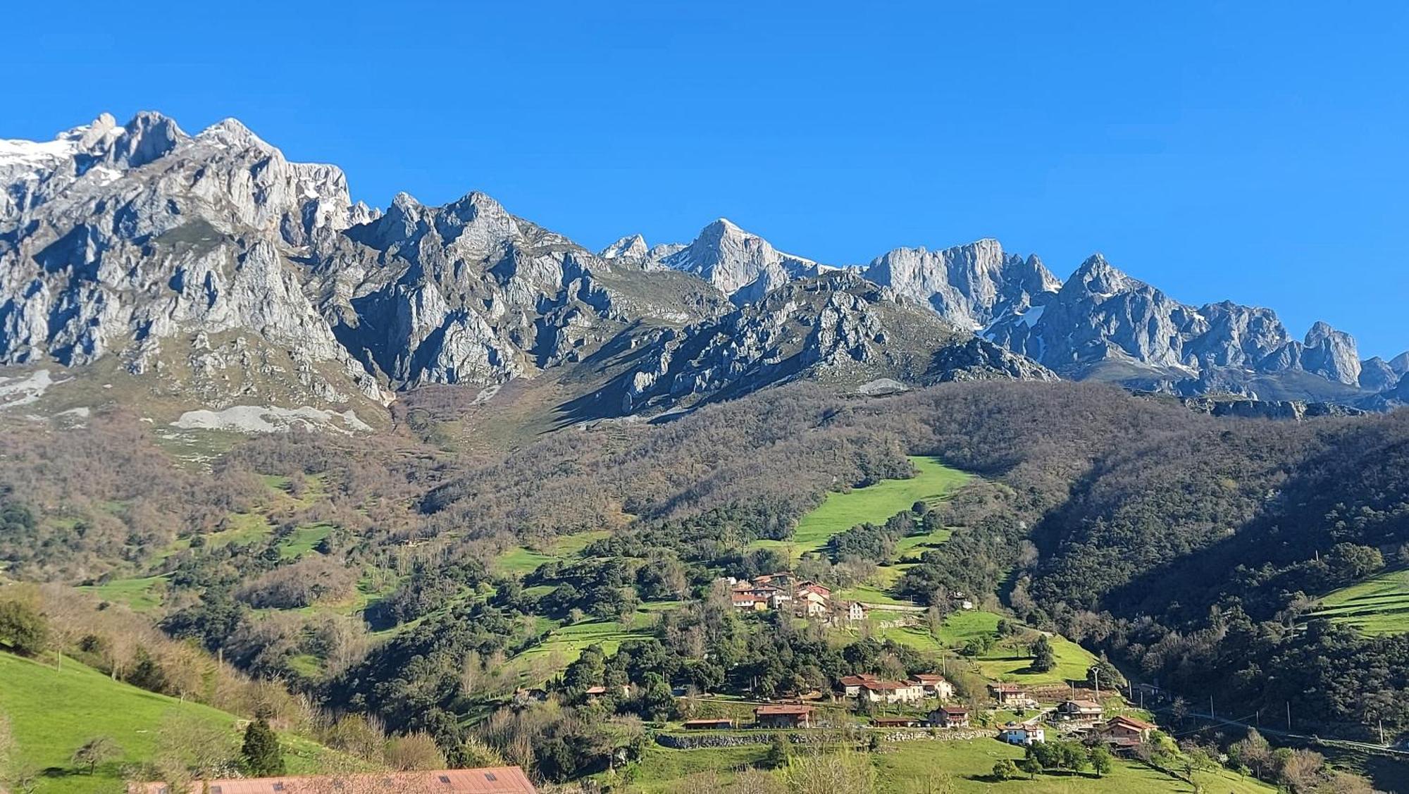 Apartamentos Rurales Los Picos De Redo カマレニョ エクステリア 写真