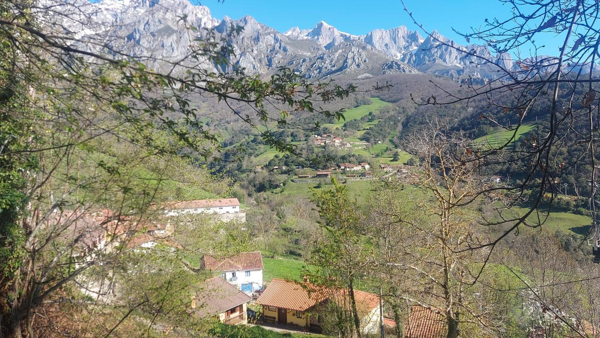 Apartamentos Rurales Los Picos De Redo カマレニョ エクステリア 写真