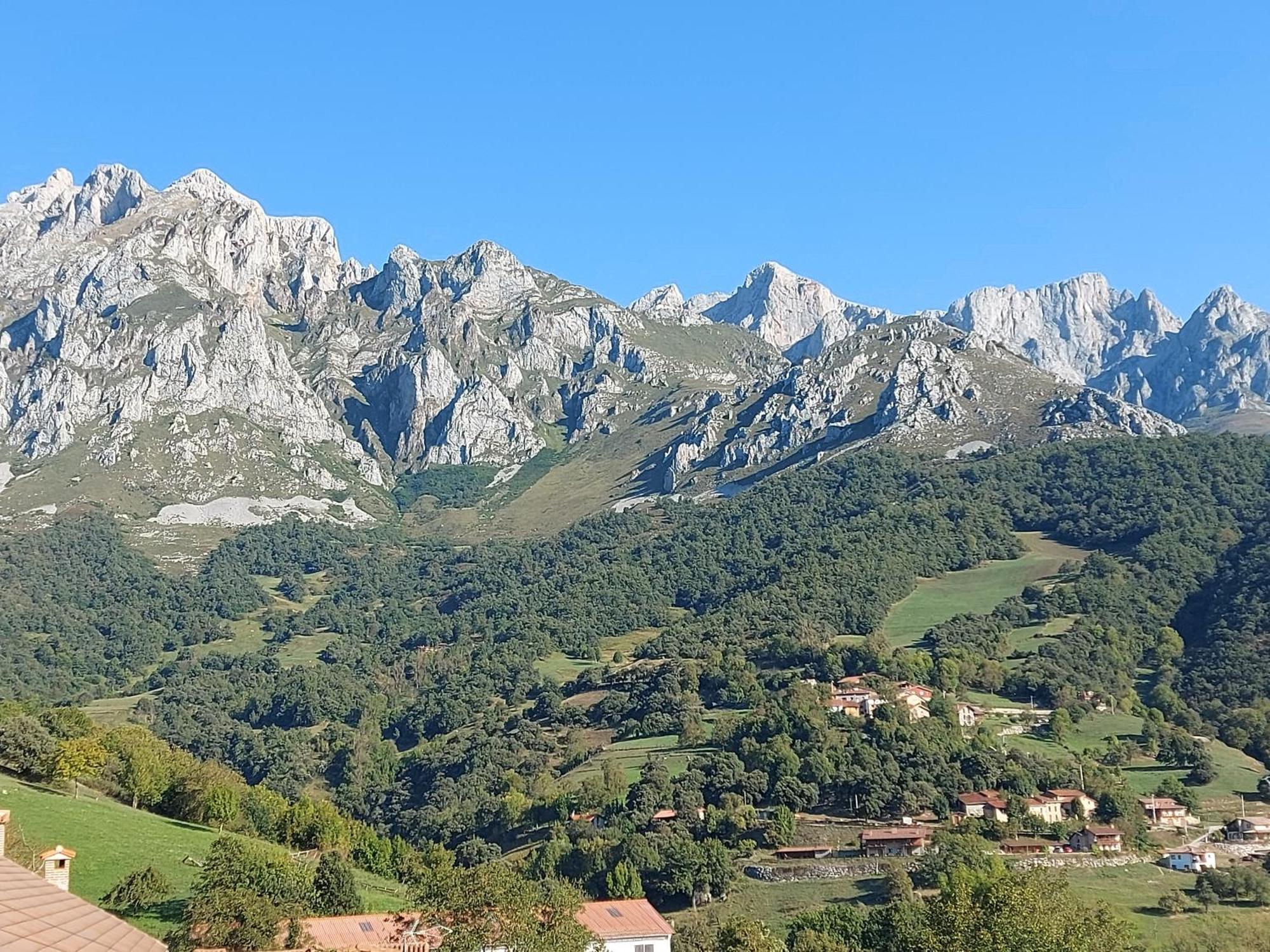 Apartamentos Rurales Los Picos De Redo カマレニョ エクステリア 写真