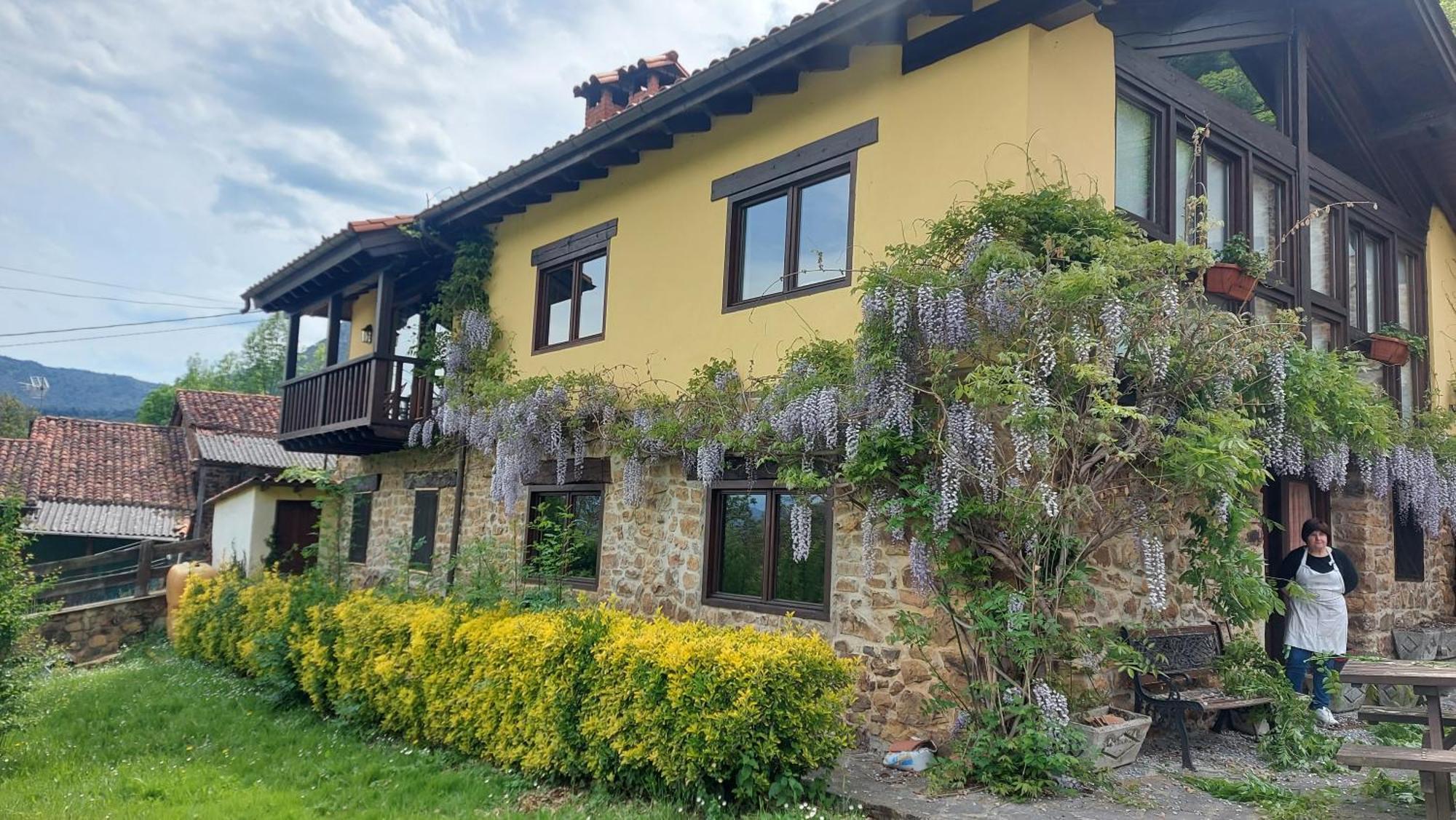 Apartamentos Rurales Los Picos De Redo カマレニョ エクステリア 写真