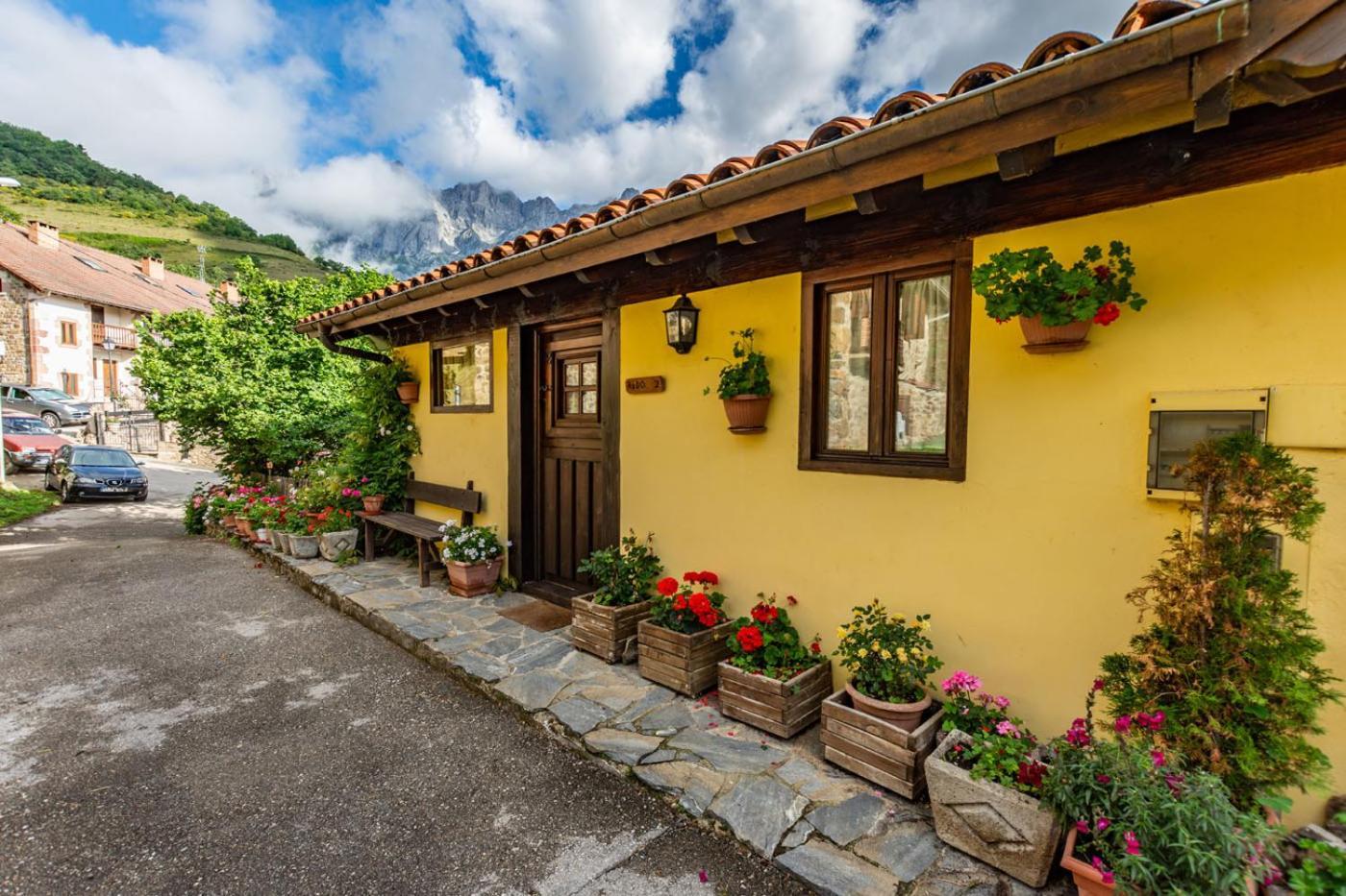 Apartamentos Rurales Los Picos De Redo カマレニョ エクステリア 写真